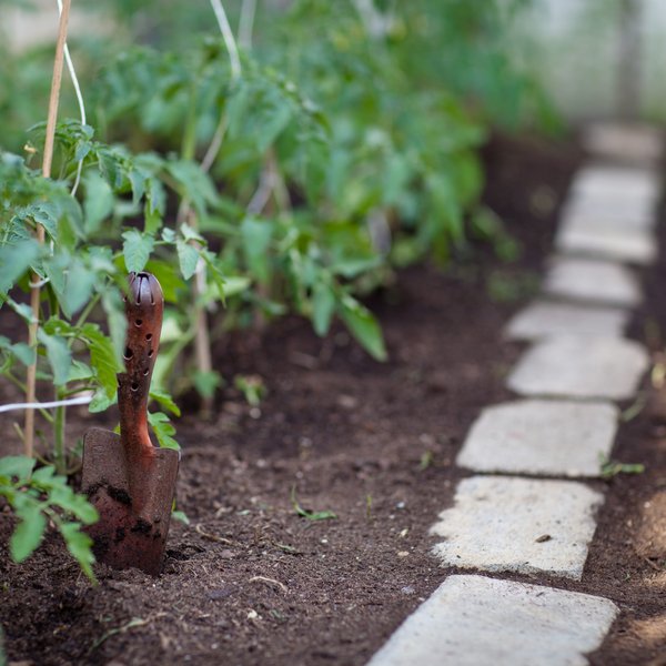 Explorez la permaculture à genève pour une biodiversité durable